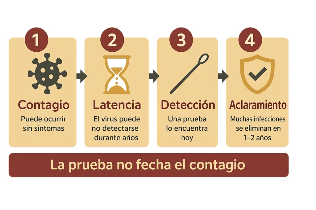 Esquema de cuatro fases con iconos de virus, reloj de arena, hisopo y escudo